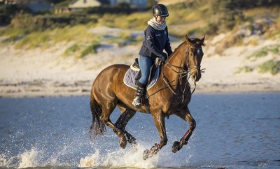 faire du cheval - commencer équitation