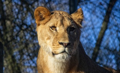 parcs zoologiques paris