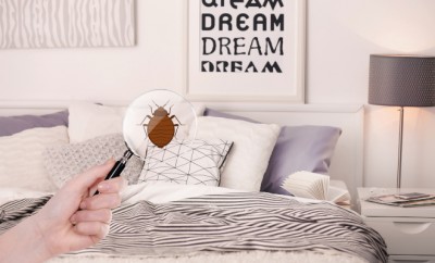 Woman with magnifying glass detecting bed bug in bedroom