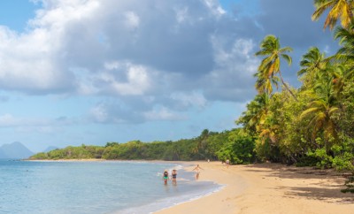 Plage de la saline Martinique