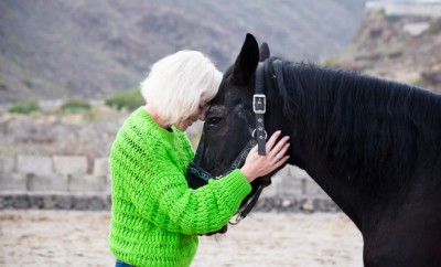 Horse therapy concept with beautiful blonde young woman hug and love a black stallion horse in the country yard - outdoor leisure activity with animals and people - defocused background