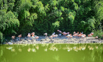 parcs animaliers auvergne rhone alpes