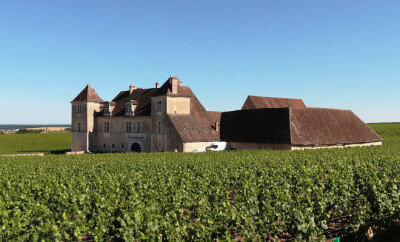 vignobles bourgogne oenotourisme