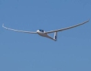 Flying Devil Flying Devil
