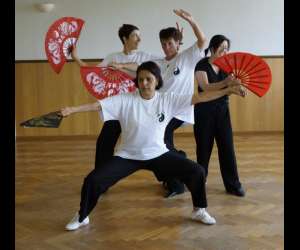 photo Acama - alsace - taichi  et qi gong Wolschwiller 5717