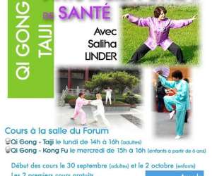 photo Acama - alsace - taichi  et qi gong Wolschwiller 5719