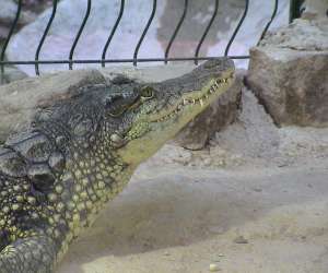 Parc Aquarium Les Naades