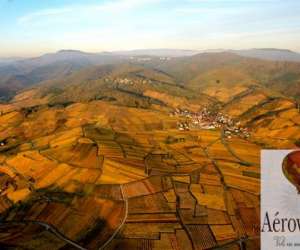photo Aerovision vols en montgolfiere en alsace Colmar 3879