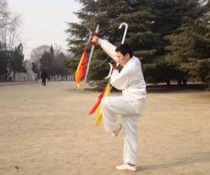 photo Cours de tai chi Strasbourg 3704