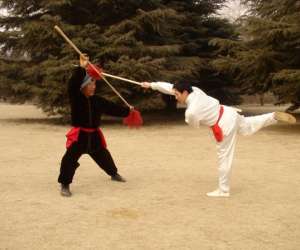 photo Cours de tai chi Strasbourg 3705