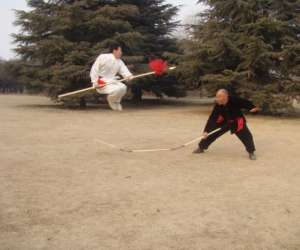 photo Cours de tai chi Strasbourg 3706