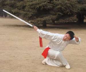 photo Cours de tai chi Strasbourg 3707