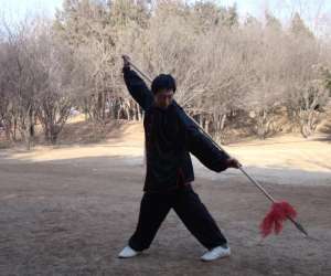 photo Cours de tai chi Strasbourg 3708