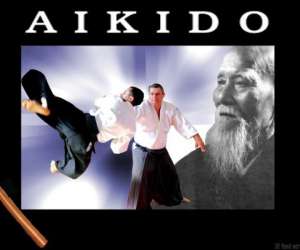 photo Aikido67 Vendenheim 3031