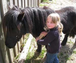 photo Ferme le chiblin Le Bonhomme 3074
