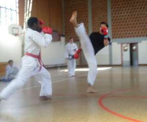 Taekwon-do Itf Strasbourg