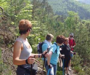 photo Marche nordique La Wantzenau 4534
