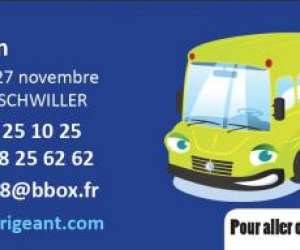 photo Transport de personnes  la demande moins cher que le taxi Mulhouse 3968