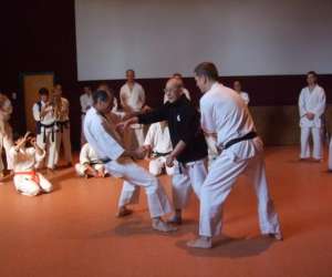 photo Club mulhousien de karate-do Mulhouse 3546