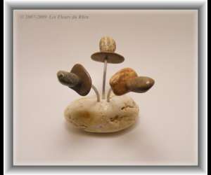 photo Les fleurs du rhin Marckolsheim 4263