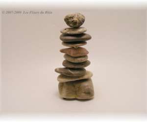 photo Les fleurs du rhin Marckolsheim 4265