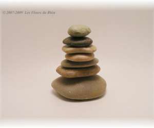 photo Les fleurs du rhin Marckolsheim 4269