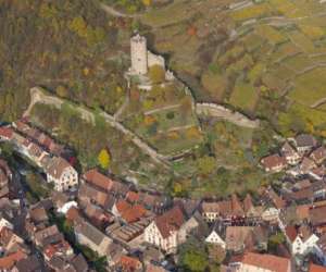 photo Alsafly Colmar 3642