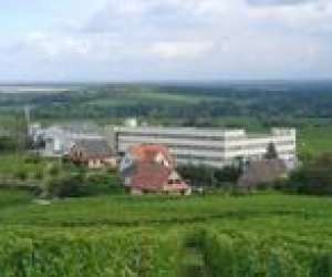 photo Chaussettes labonal Dambach La Ville 3757