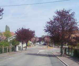 photo Gite alsace ungersheim Ungersheim 4583