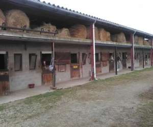 Pension chevaux ferme équestre sepcht Pension chevaux ferme équestre sepcht