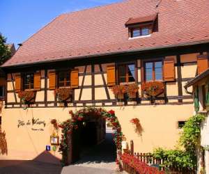 photo Clos des raisins Beblenheim 4378