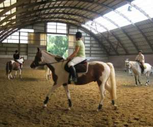 photo Poney club - poney Flaxlanden 4816