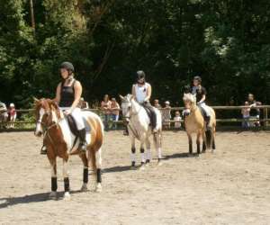 photo Poney club - poney Flaxlanden 4817