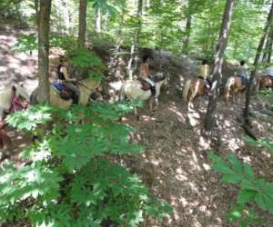 photo Ranch wolfsmatt Climbach 4946