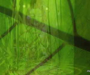 Sandrine Paviot-barlier - Relaxologue / Energeticienne Sandrine Paviot-barlier - Relaxologue / Energeticienne