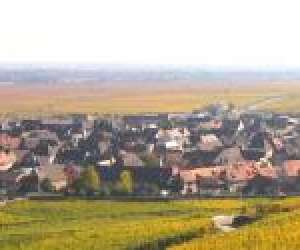 photo Domaine pierre adam Ammerschwihr 6056