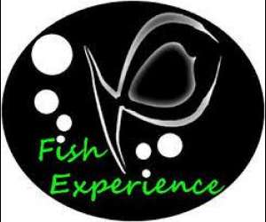 Fish Experience - Pedicure & Massages Bien Etre