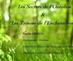 Les Secrets De L