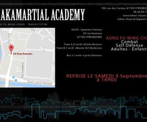 photo Kung fu wing chun Strasbourg 6484