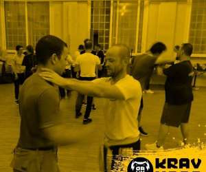 photo Organisation alsacienne de krav maga (oakm) Colmar 7099