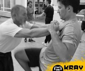 photo Organisation alsacienne de krav maga (oakm) Colmar 7100