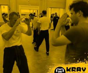 photo Organisation alsacienne de krav maga (oakm) Colmar 7101