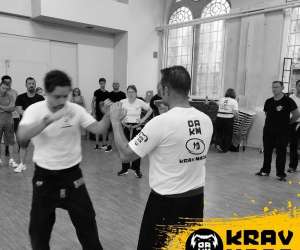 photo Organisation alsacienne de krav maga (oakm) Colmar 7102