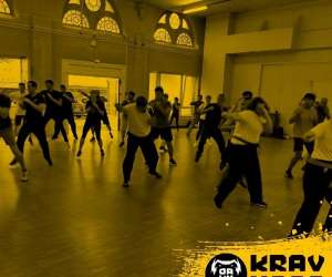photo Organisation alsacienne de krav maga (oakm) Colmar 7103