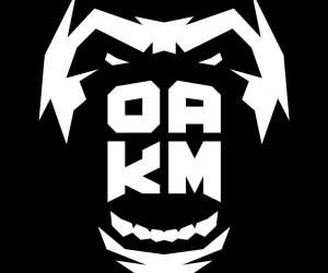 photo Organisation alsacienne de krav maga (oakm) Colmar 7106