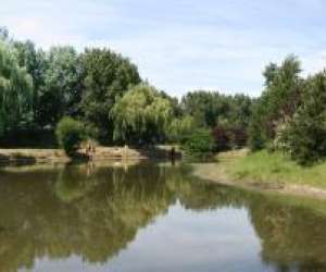 photo Les sources de la hooghe moote Ghyvelde 4748