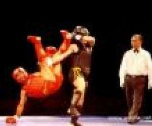photo Club de boxe chinoise 'learn asian boxing' Tourcoing 2444