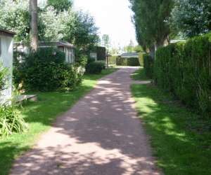 photo Camping le courtil rose Bremes 5387