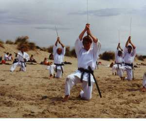 Club de jujitsu traditionnel japonais Club de jujitsu traditionnel japonais