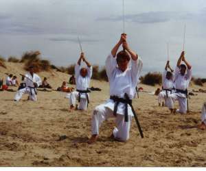 Club De Jujitsu Traditionnel Japonais